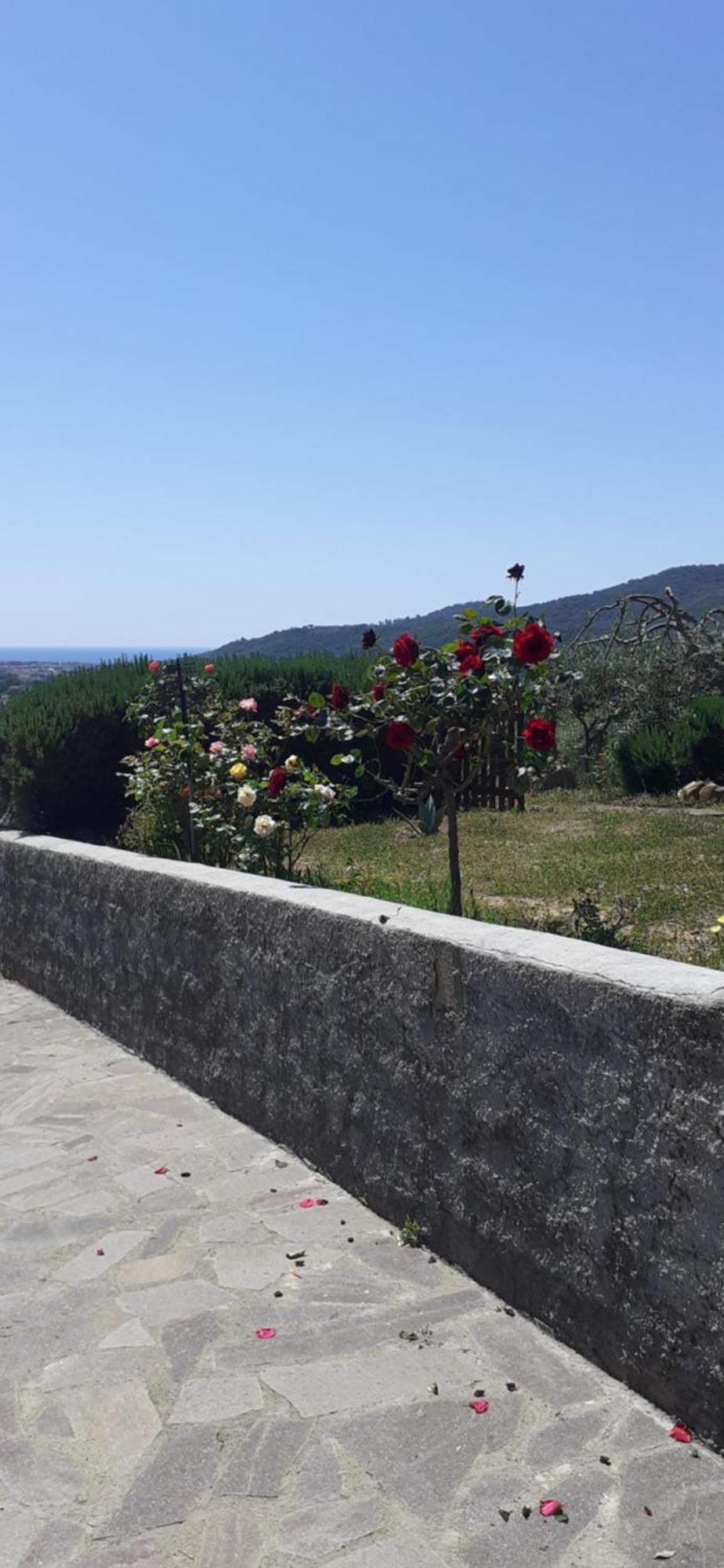 Bellavista Prile Bed & Breakfast Castiglione della Pescaia Room photo
